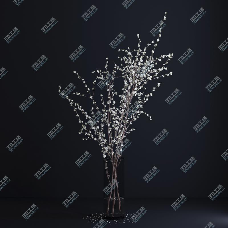 images/goods_img/2021040164/Prunus White Blossom/3.jpg